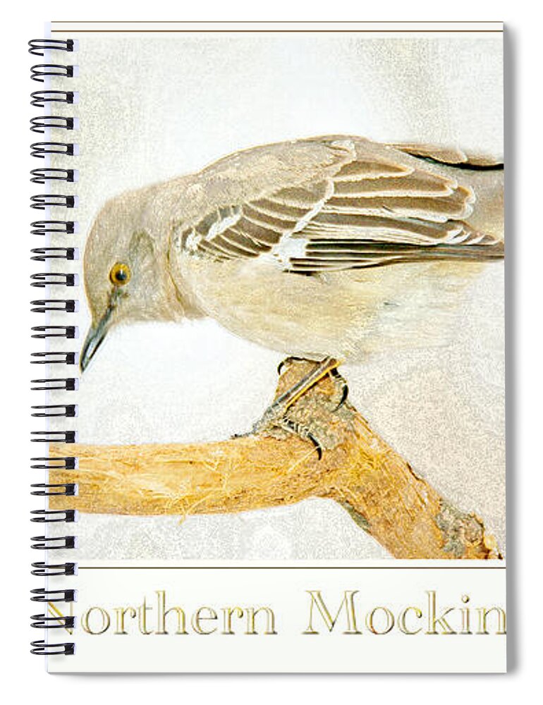 Biology Spiral Notebook featuring the digital art Mockingbird in Winter Digital Painting by A Macarthur Gurmankin