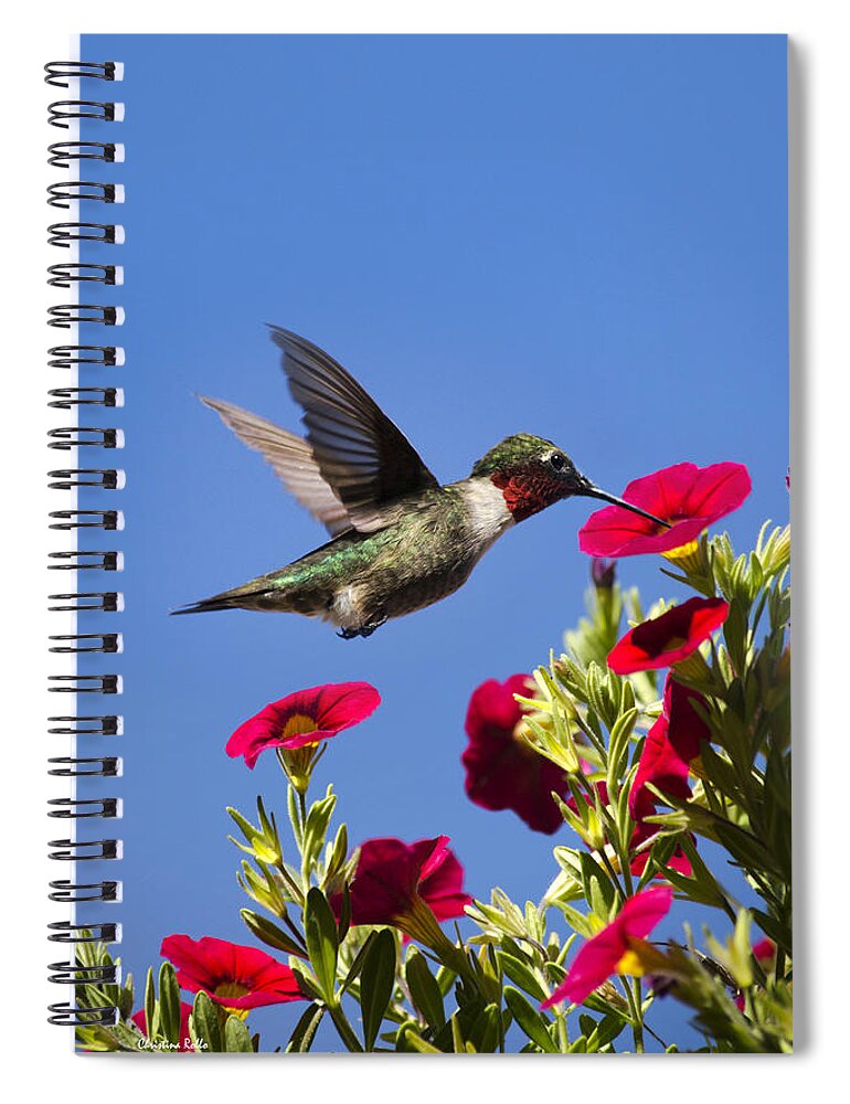 Hummingbird Spiral Notebook featuring the photograph Moments of Joy by Christina Rollo