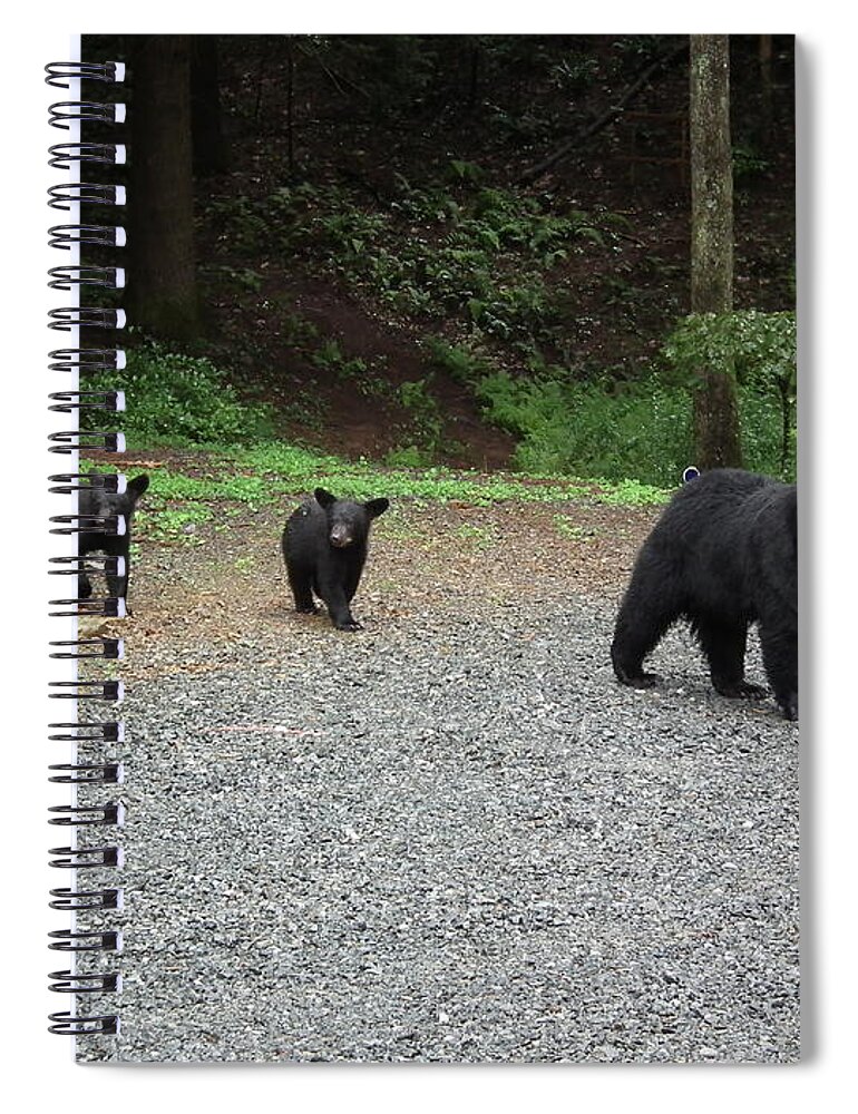Fluffy Spiral Notebook featuring the photograph Momma And Three Bears by Jan Dappen
