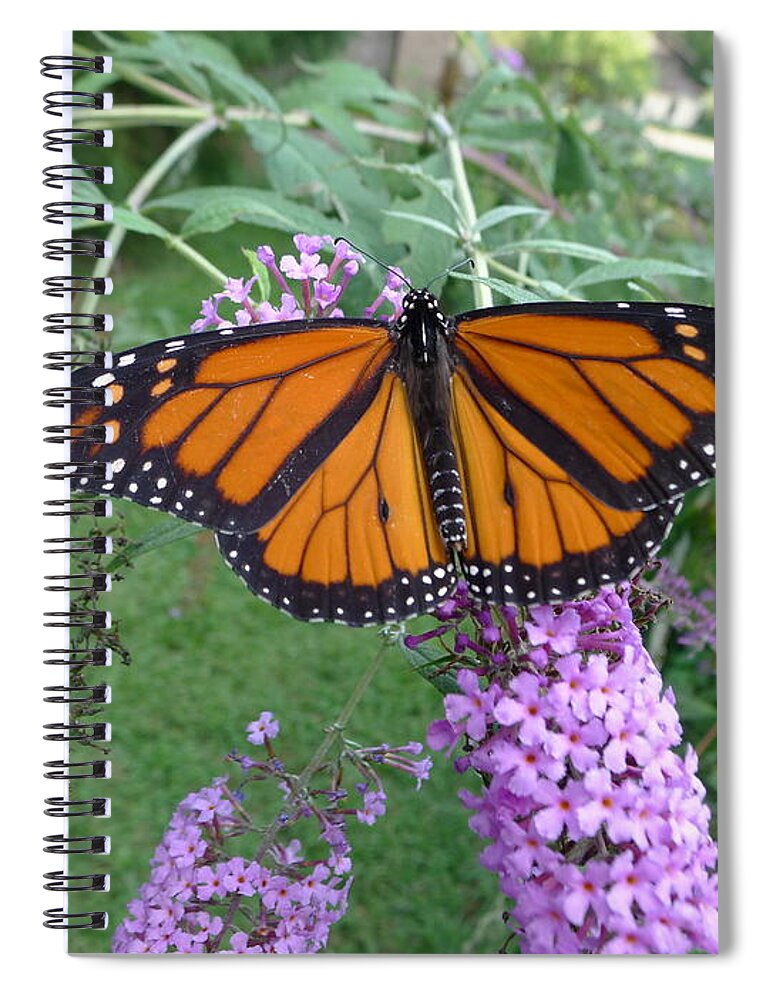 Monarch Spiral Notebook featuring the photograph Monarch Butterfly by Richard Reeve