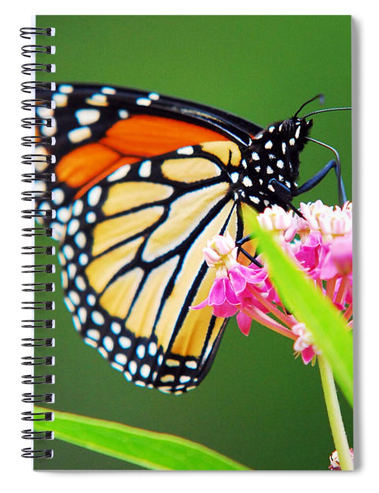 Butterflies Spiral Notebook featuring the photograph Monarch Butterfly Simple Pleasure by Christina Rollo
