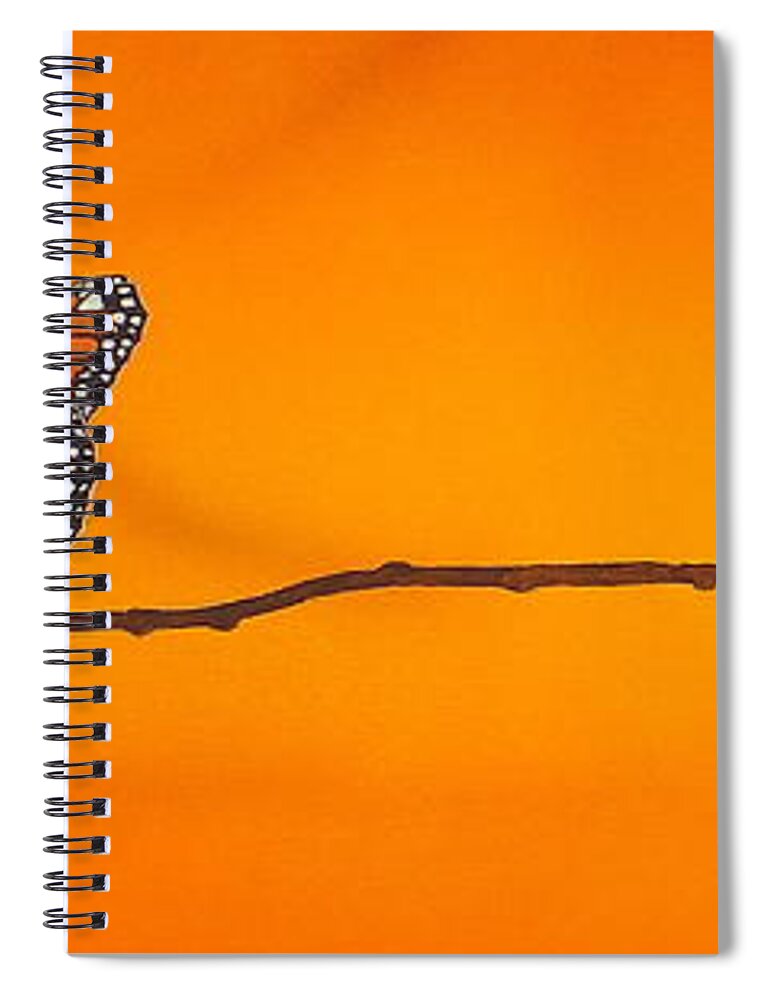 Butterfly Spiral Notebook featuring the painting Monarch by Guy Pettingell