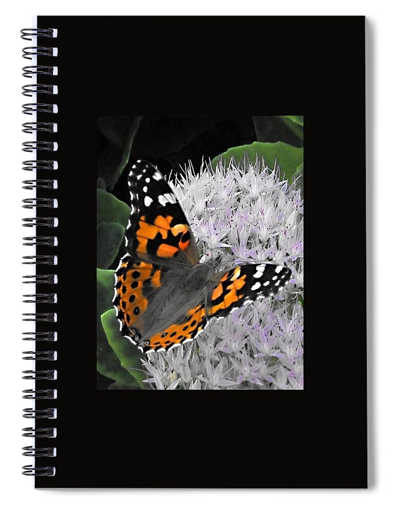 Monarch Spiral Notebook featuring the photograph Monarch by Photographic Arts And Design Studio