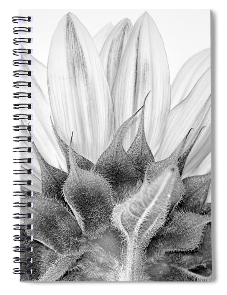  Black Spiral Notebook featuring the photograph Monochrome Sunflower by Stelios Kleanthous