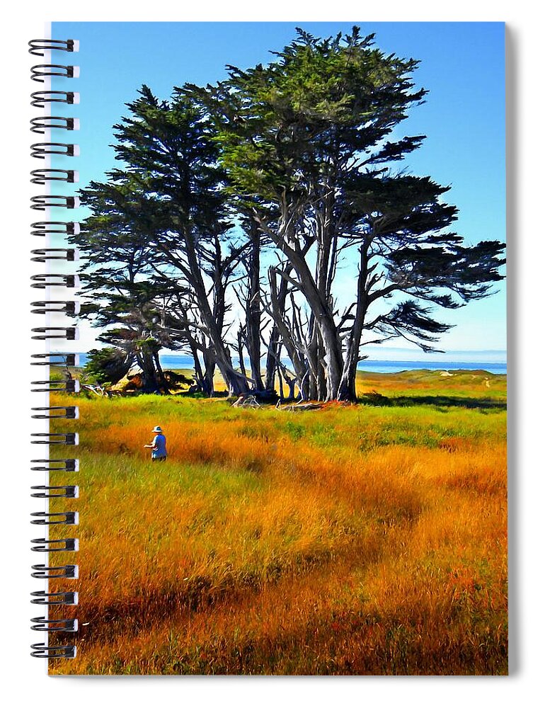 Monterey Cyprus Grove Spiral Notebook featuring the photograph Monterey Cyprus Grove by Frank Wilson