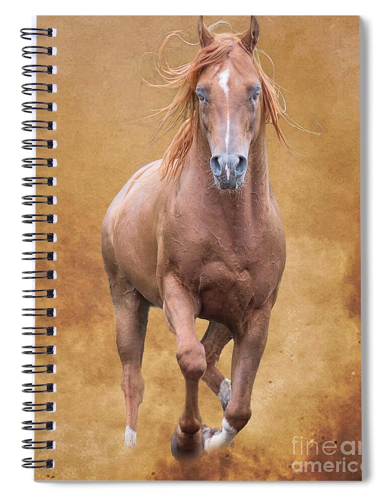 Arabian Spiral Notebook featuring the mixed media Monty by Jim Hatch
