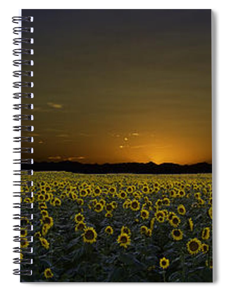 Sunflowers Spiral Notebook featuring the photograph Moon Flowers by Kristal Kraft