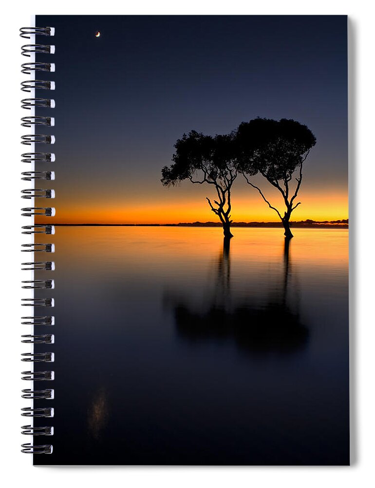 2010 Spiral Notebook featuring the photograph Moon over Mangrove Trees by Robert Charity