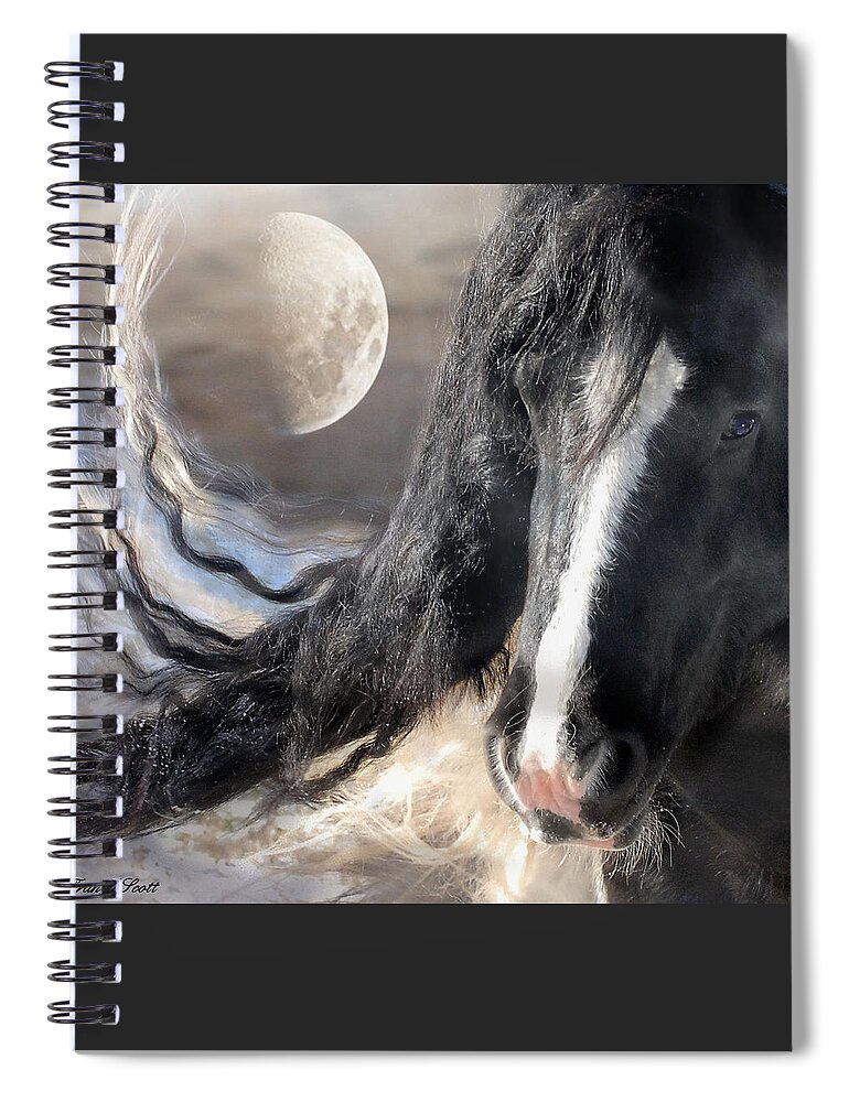 Horse Art Prints Spiral Notebook featuring the photograph Moonlight and Valentino by Fran J Scott