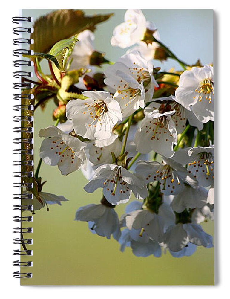 St James Lake Spiral Notebook featuring the photograph More Spring Flowers by Jeremy Hayden