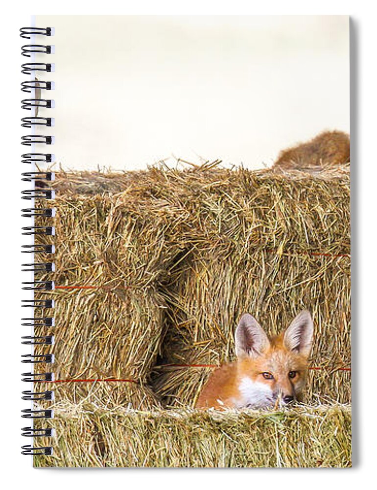 Fox Spiral Notebook featuring the photograph Morgan Bottom by Kevin Dietrich