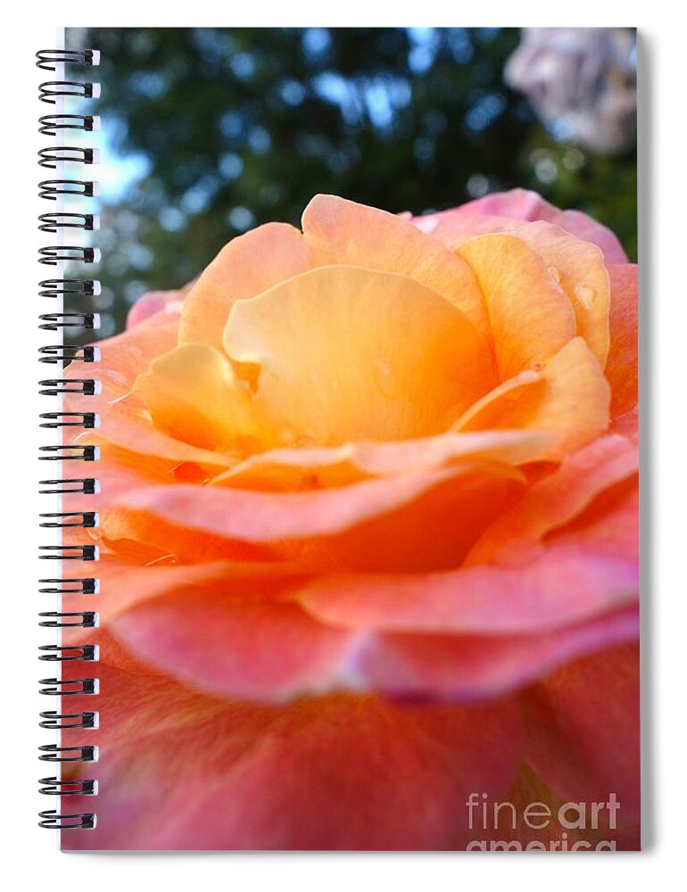  Spiral Notebook featuring the photograph Morning Dew #3 by Jacqueline Athmann