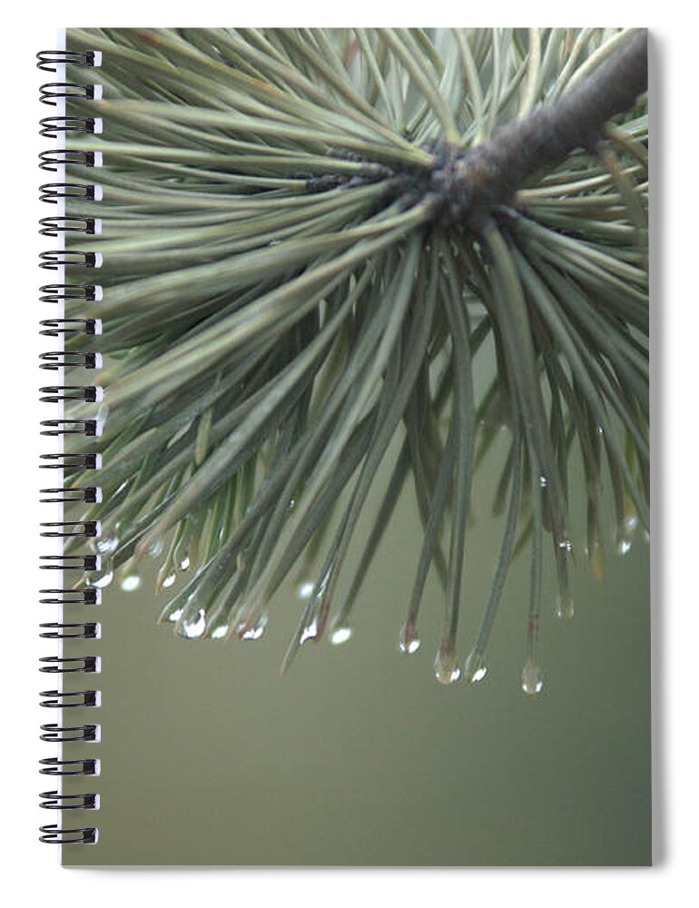 Fog Spiral Notebook featuring the photograph Morning Fog by Frank Madia