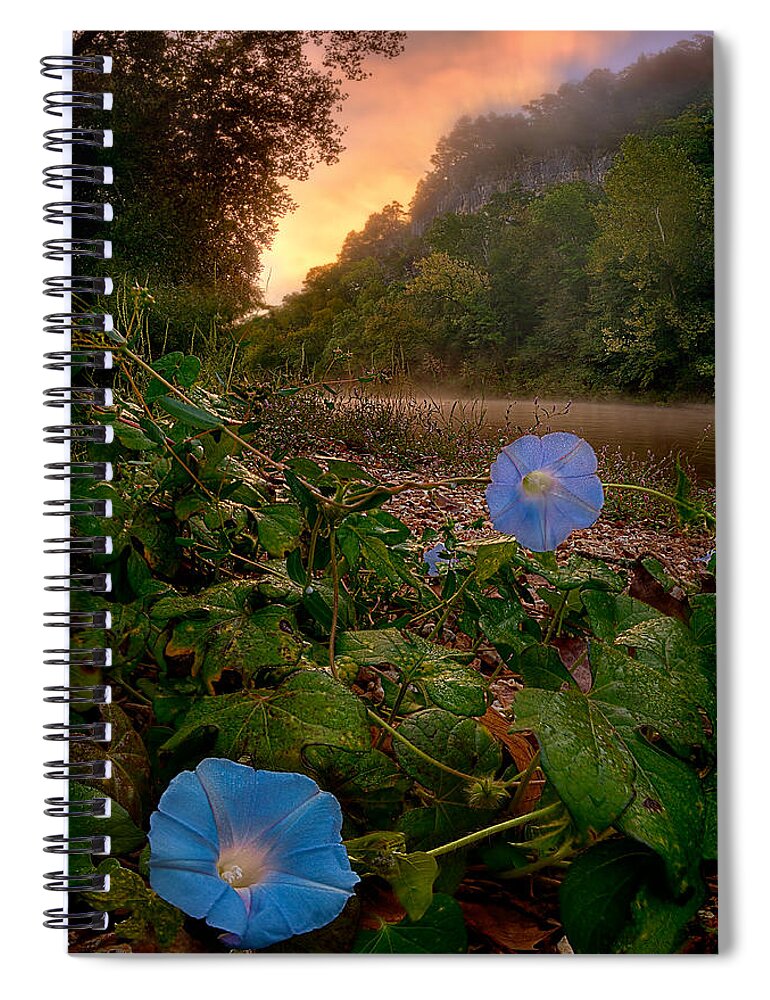 2012 Spiral Notebook featuring the photograph Morning Glory by Robert Charity