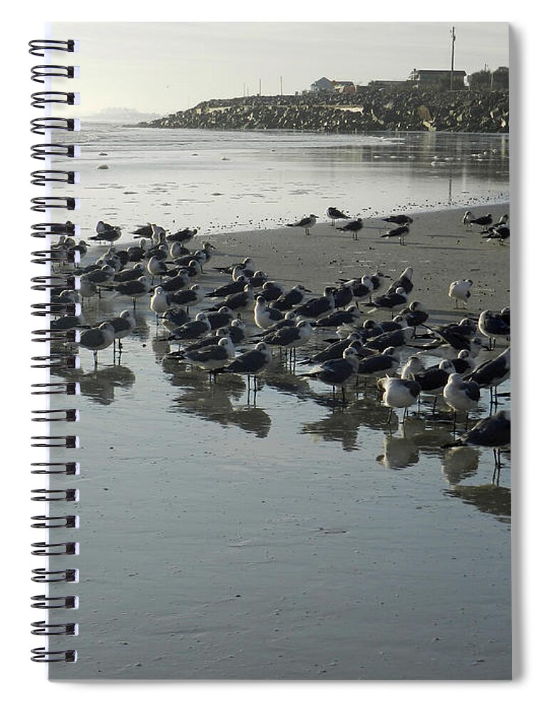 Seashore Spiral Notebook featuring the photograph Morning Gulls by Deborah Ferree