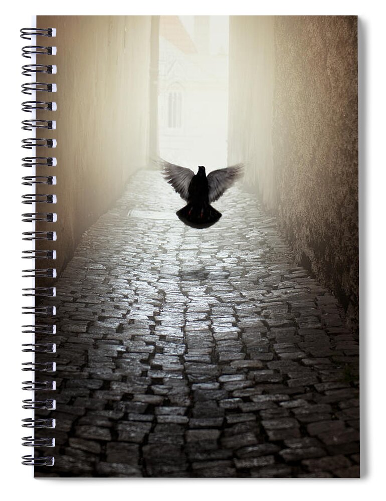 Bird Spiral Notebook featuring the photograph Morning impression with a dove by Jaroslaw Blaminsky