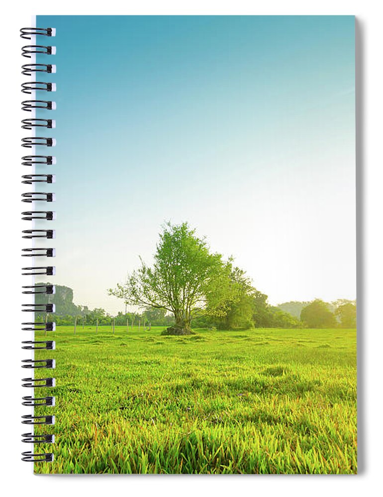 Scenics Spiral Notebook featuring the photograph Morning Sun Shining Through The by Primeimages