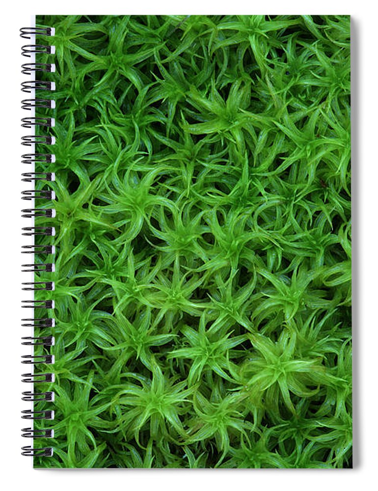 Atrichum Sp. Spiral Notebook featuring the photograph Moss by Daniel Reed