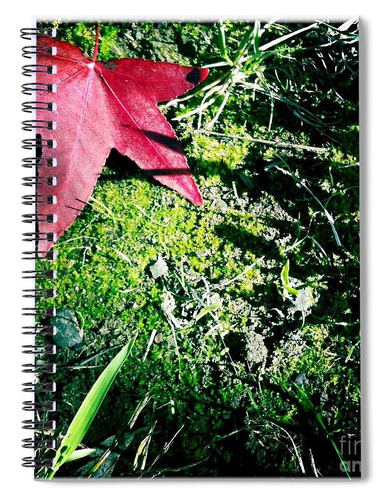 Moss Spiral Notebook featuring the photograph Moss by Denise Railey