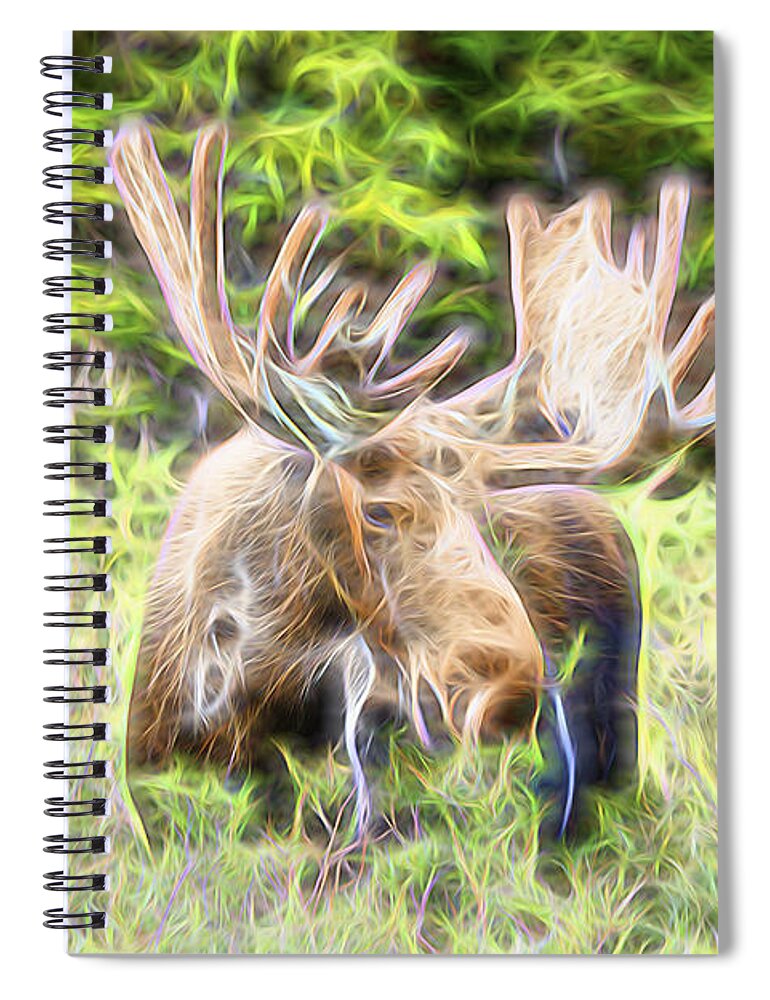 North America Moose Spiral Notebook featuring the photograph Moose Glow by James BO Insogna