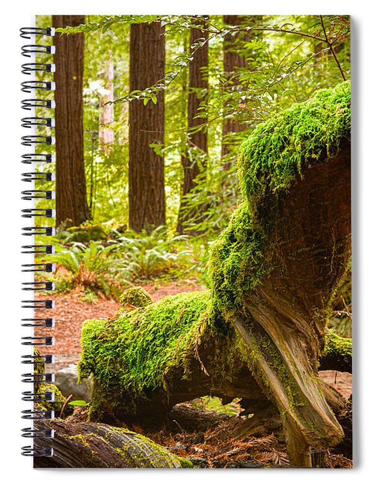 Moss Spiral Notebook featuring the photograph Mossy Creature by Bryant Coffey