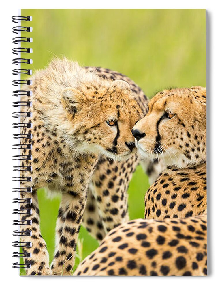 Kenya Spiral Notebook featuring the photograph Mother Love by 1001slide