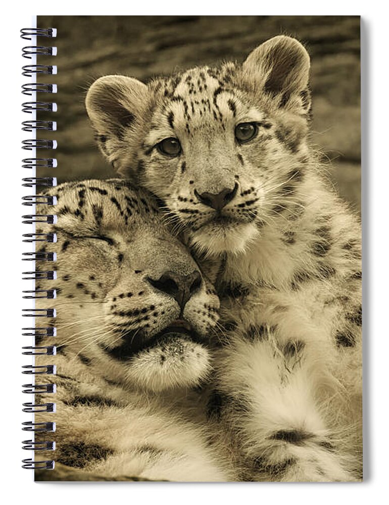 Marwell Spiral Notebook featuring the photograph Mother's Love by Chris Boulton