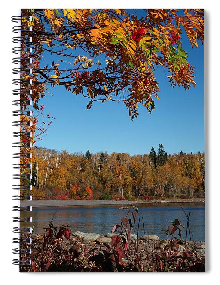 Jim Spiral Notebook featuring the photograph Mountain Ash in Autumn by James Peterson