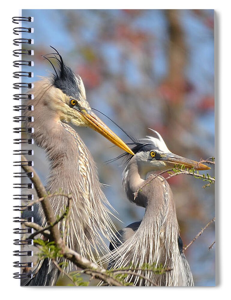 Heron Spiral Notebook featuring the photograph Mr. And Mrs. by Kathy Baccari