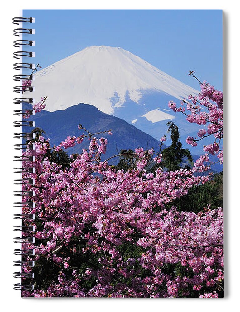 Scenics Spiral Notebook featuring the photograph Mt Fuji And Cherry Blossom by Photos From Japan, Asia And Othe Of The World