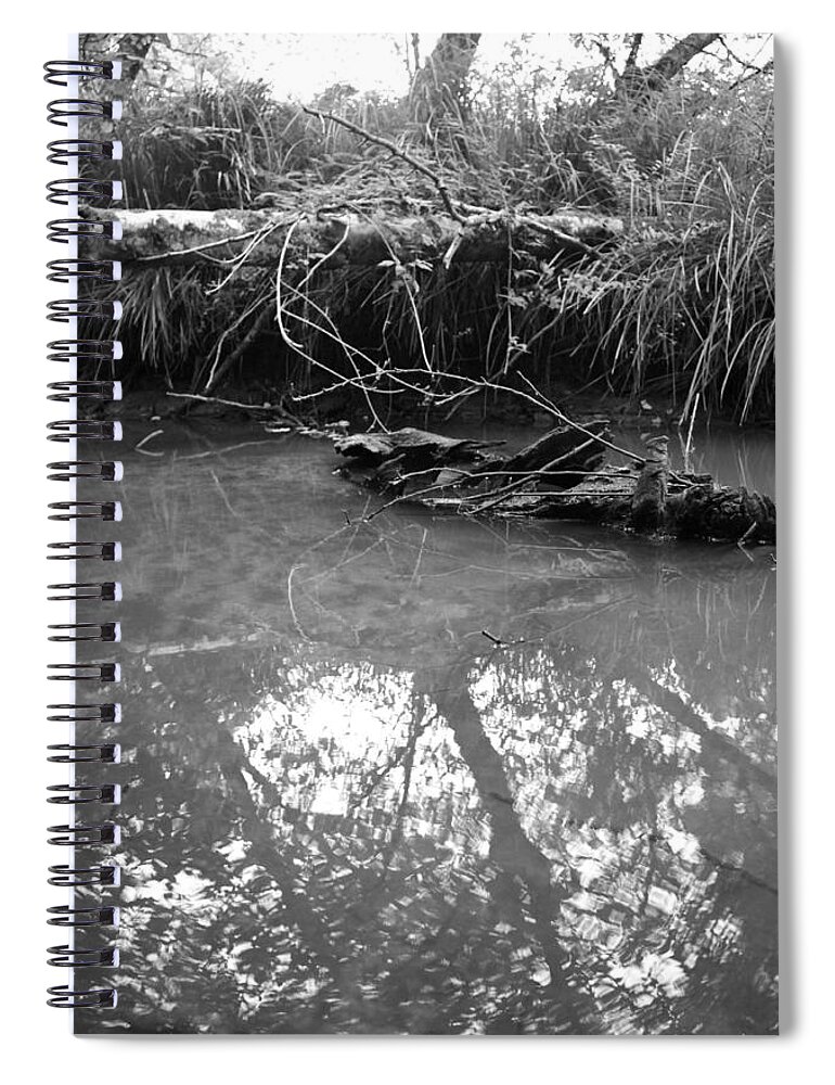 Creek Spiral Notebook featuring the photograph Muddy Creek by Adria Trail