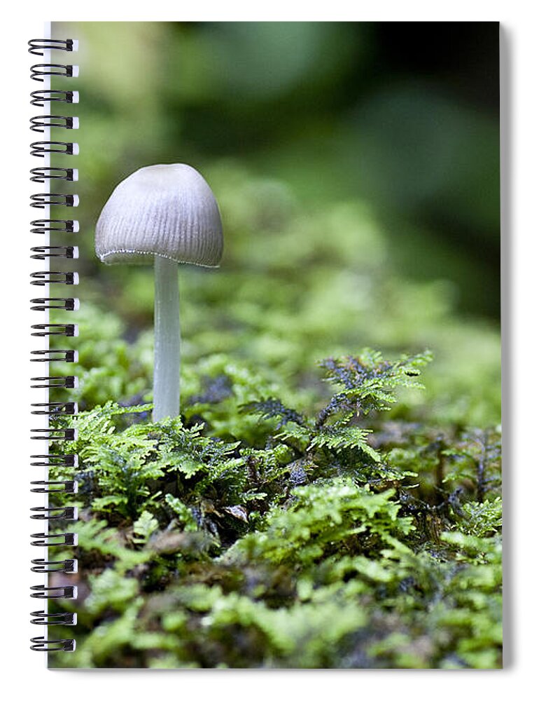 Ridgeway Spiral Notebook featuring the photograph Mushroom by Steven Ralser