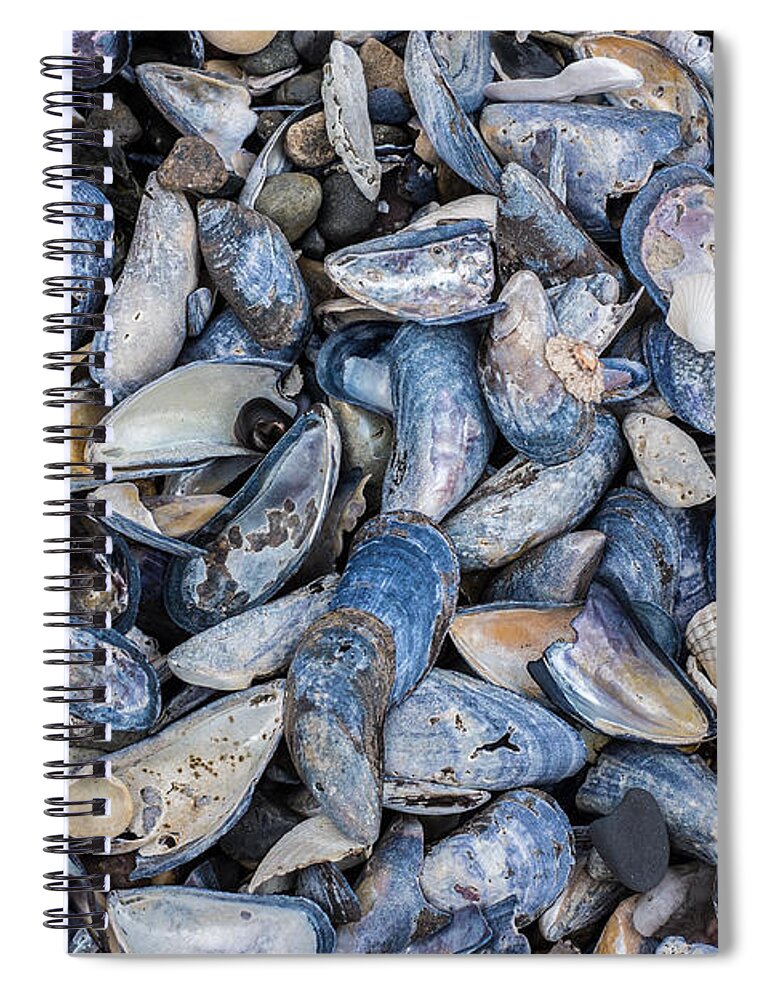 Mussel Spiral Notebook featuring the photograph Mussel Beach by Nigel R Bell