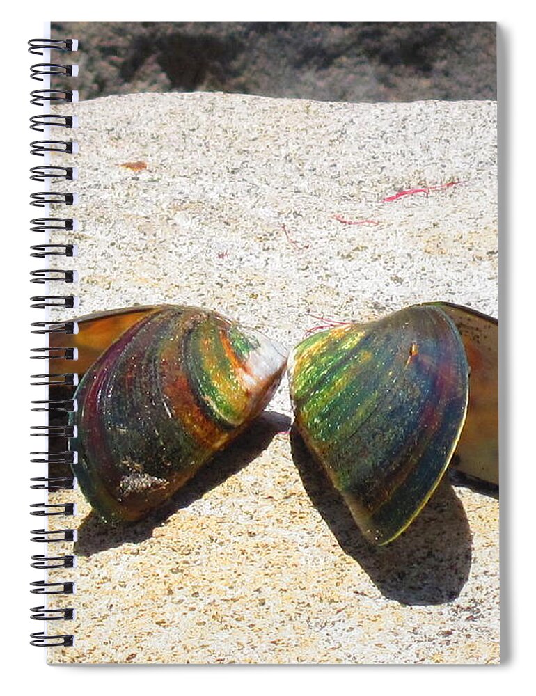 Mussels Spiral Notebook featuring the photograph Mussel Shells No.2 by Ingrid Van Amsterdam