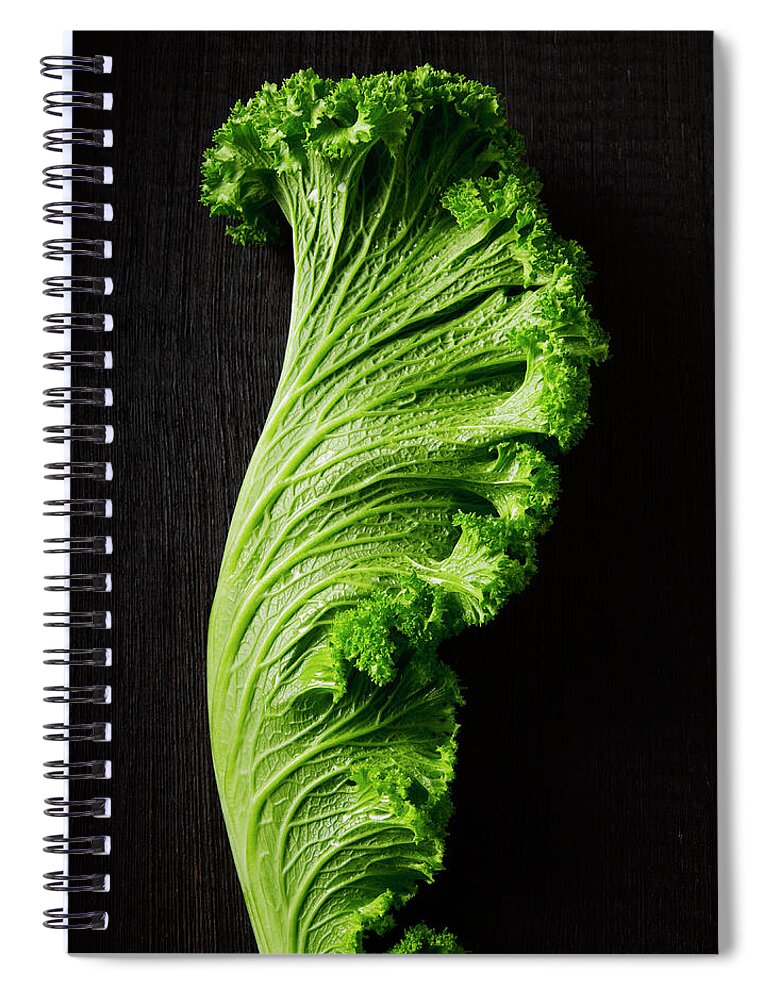 Black Background Spiral Notebook featuring the photograph Mustard Greens by Howard Bjornson