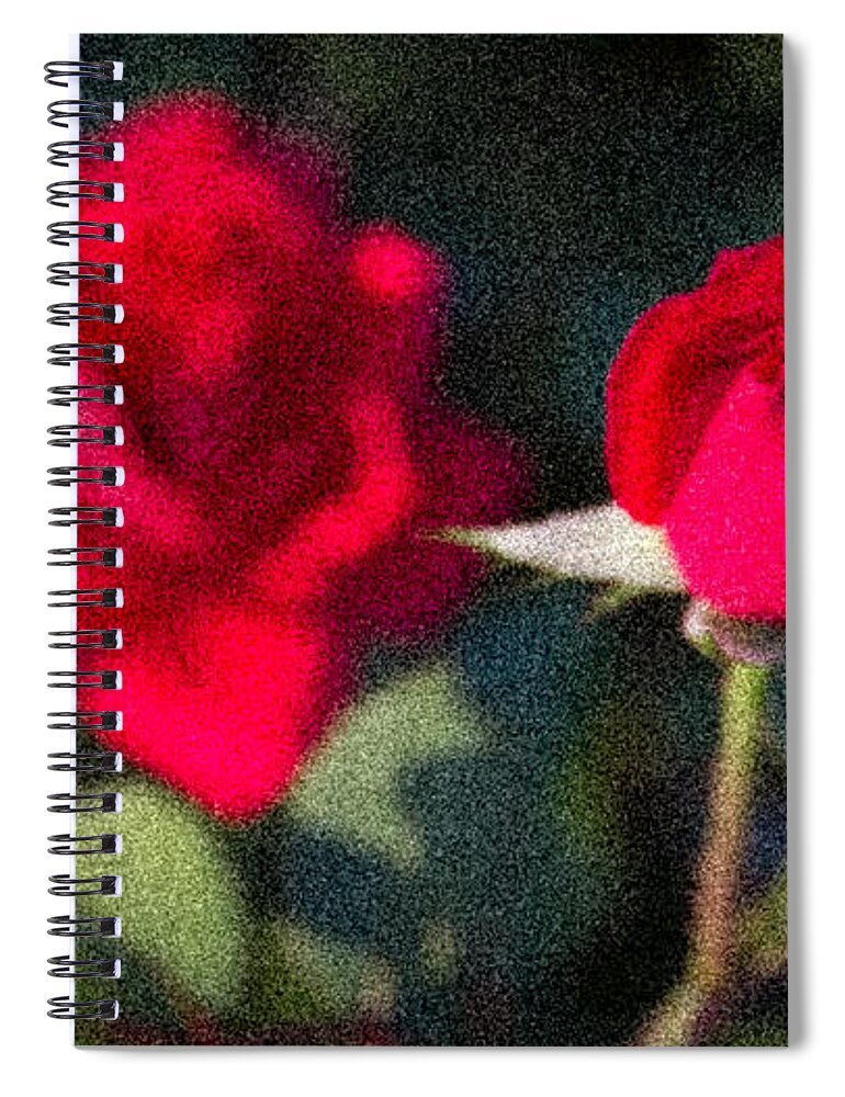 Rose Spiral Notebook featuring the photograph Muted Beauty by Tim Stanley