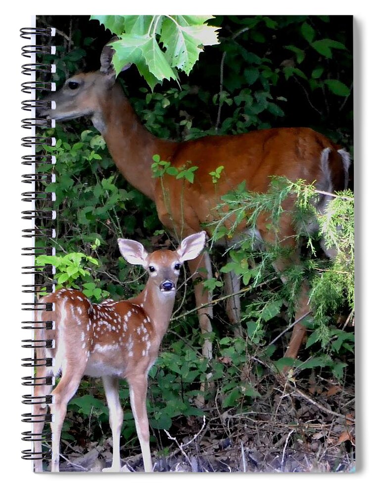 Deer Spiral Notebook featuring the photograph My Baby by Deena Stoddard