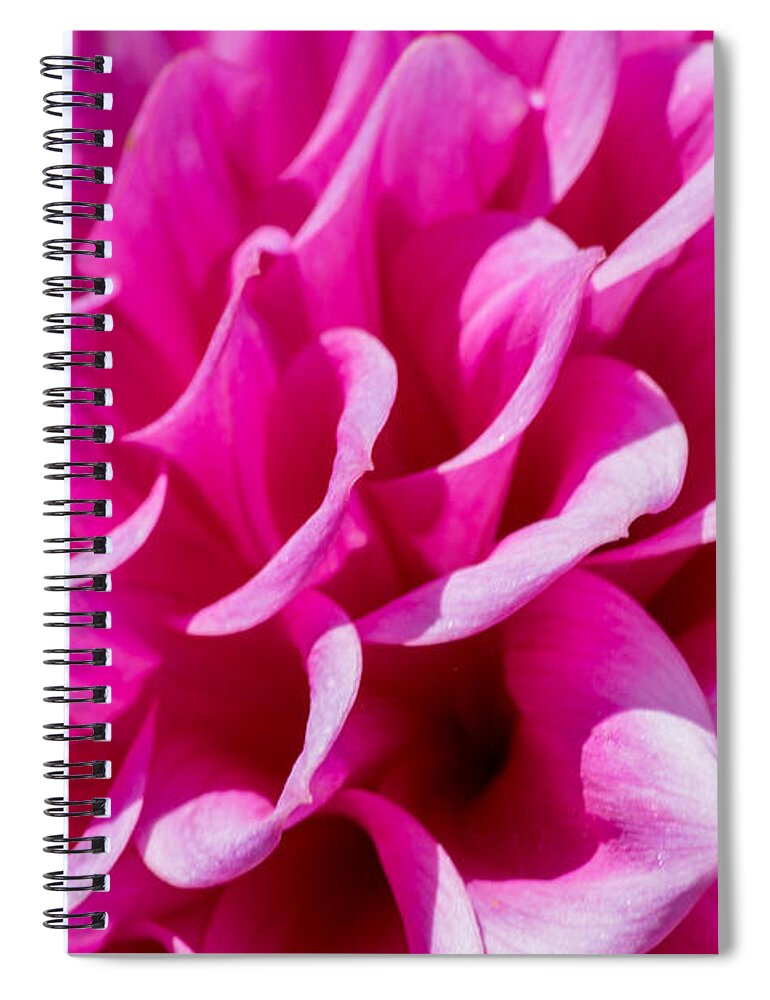 Dahlia Spiral Notebook featuring the photograph My Dahlia by Tikvah's Hope