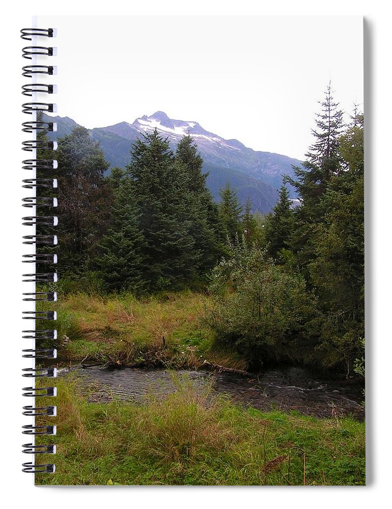 Landscape Spiral Notebook featuring the photograph My favorite bear watching spot by Annika Farmer