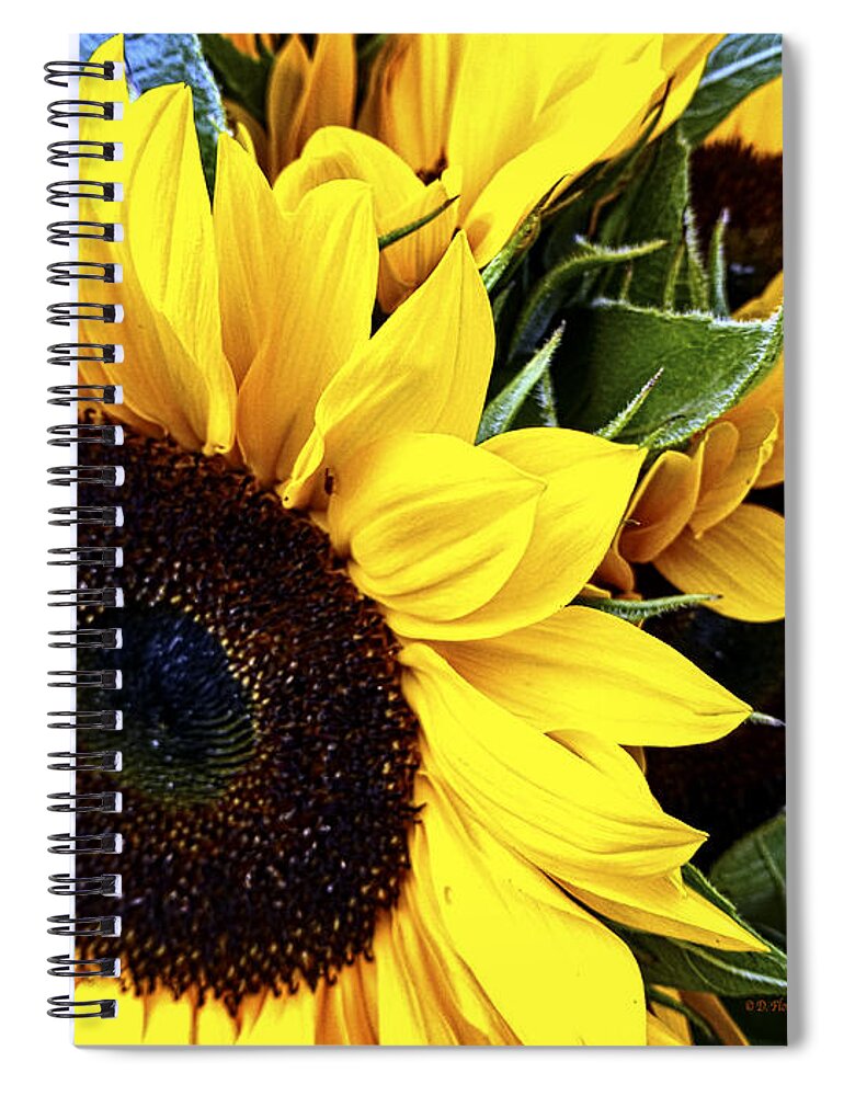 Sunflower Spiral Notebook featuring the digital art My Sunshine by Dee Flouton