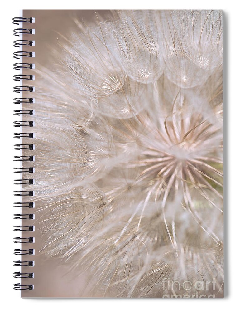 Wildflowers Spiral Notebook featuring the photograph Goatsbeard - Fairy Parachute by Gwen Gibson