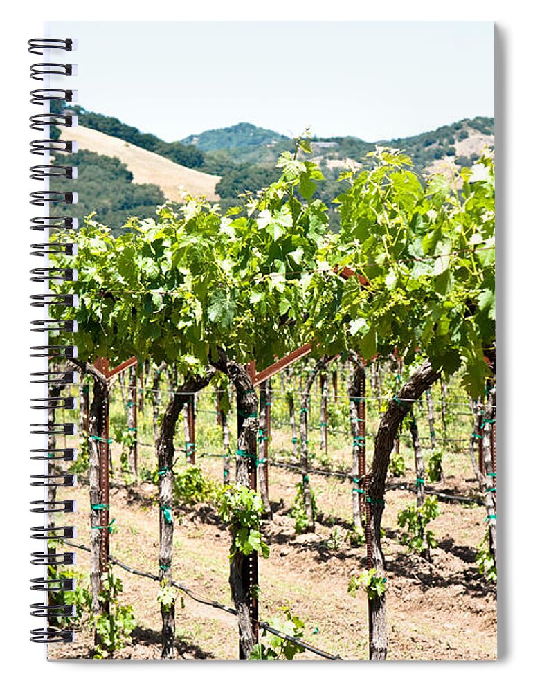 Napa Vineyard Spiral Notebook featuring the photograph Napa Vineyard Grapes by Shane Kelly