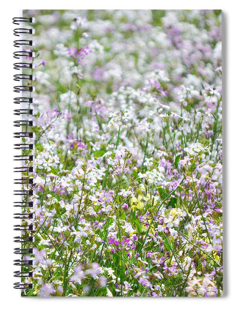 Santa Monica Mountains Spiral Notebook featuring the photograph Native Chumash Central Coast Wildflowers by Kyle Hanson