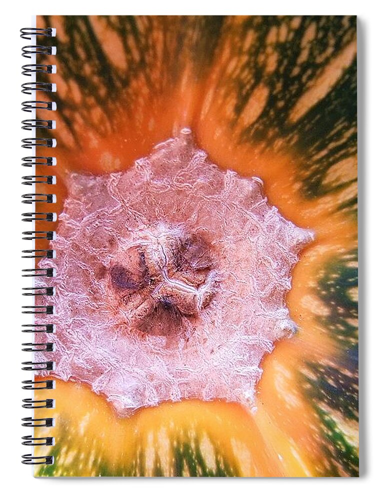 Nature Spiral Notebook featuring the photograph Pumpkin Abstract by Kae Cheatham
