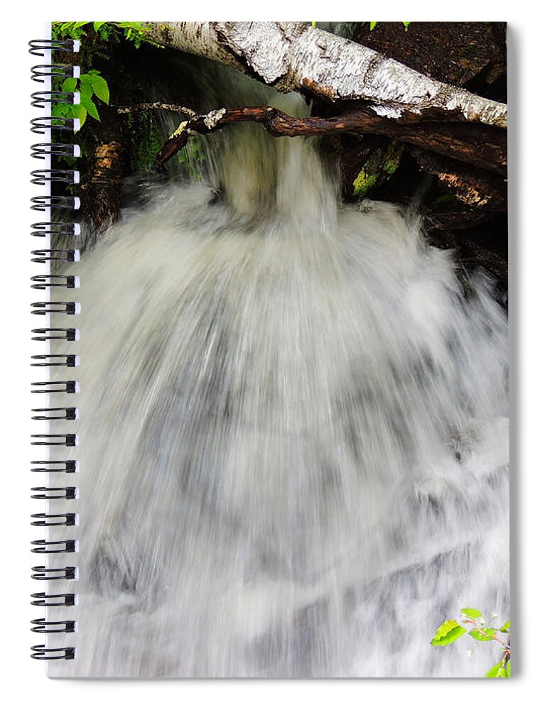 Hidden Spiral Notebook featuring the photograph Natural Love by Mim White