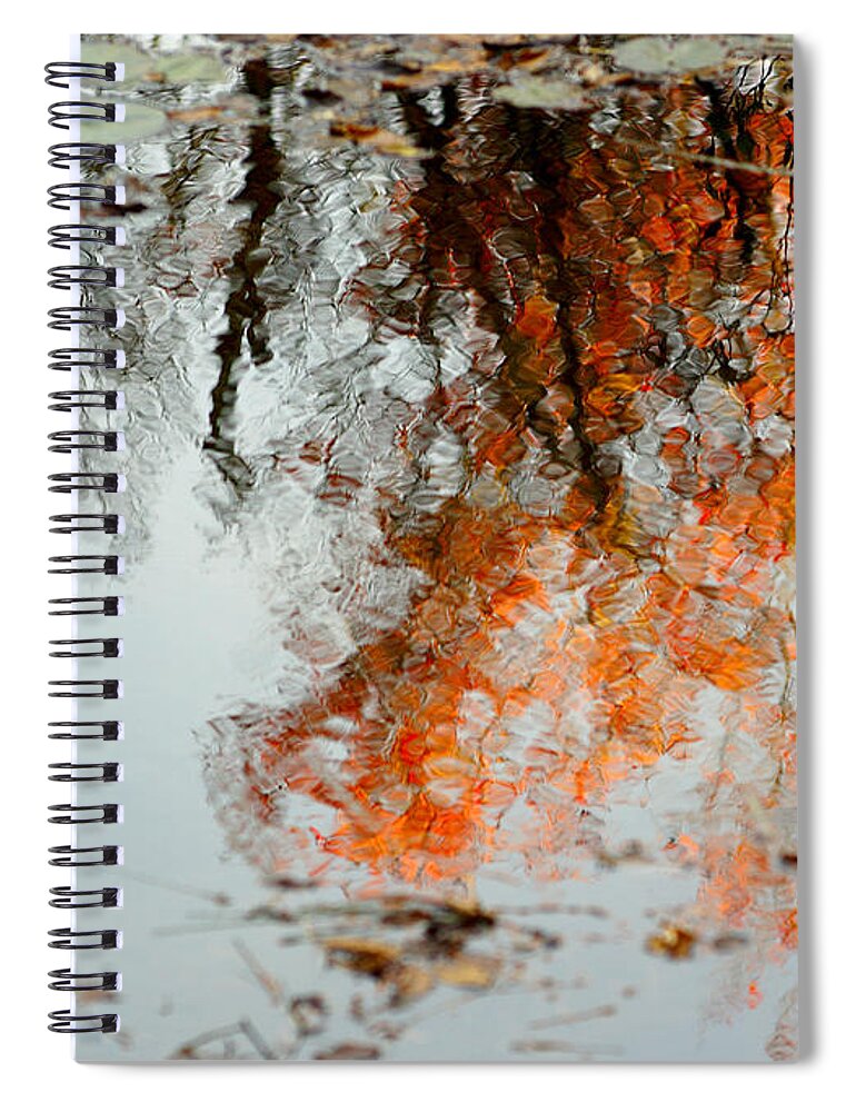 Tree Spiral Notebook featuring the photograph Natural Paint Daubs by Aimelle Ml