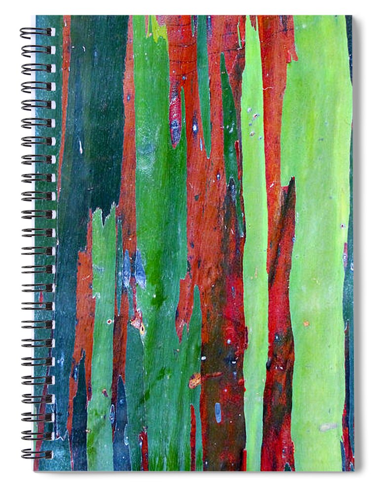 Bark Spiral Notebook featuring the photograph Natural Tree by Bob Slitzan