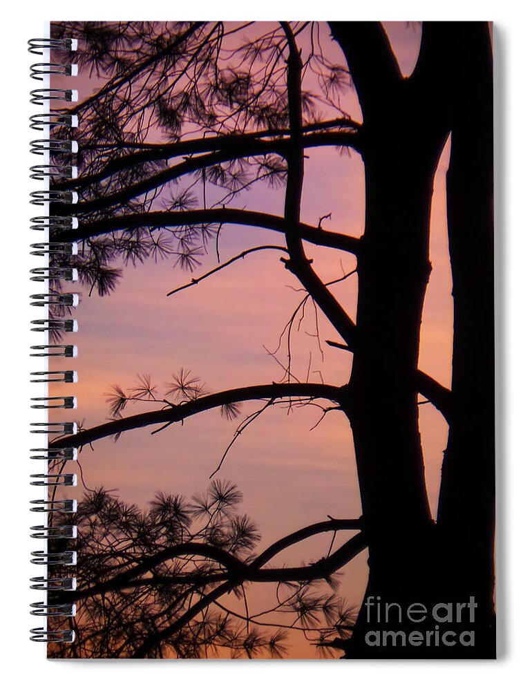 Nature Spiral Notebook featuring the photograph Nature Sunrise by Charlie Cliques