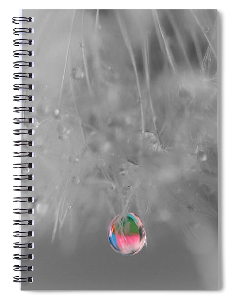 Dew Drop Spiral Notebook featuring the photograph Nature's Crystal Ball by Marianna Mills