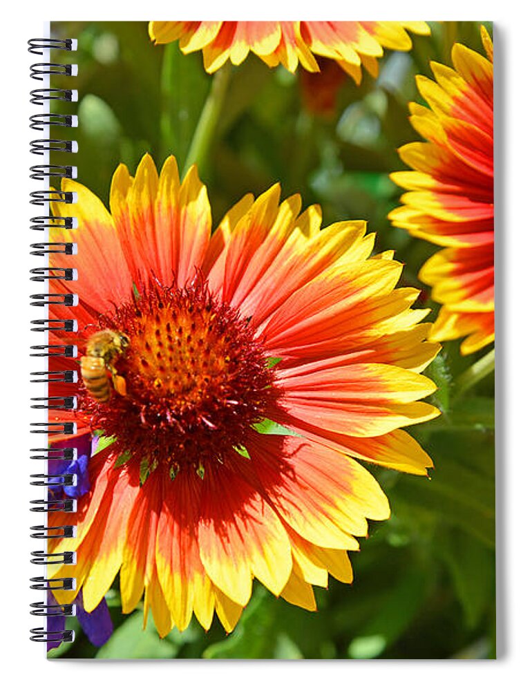 Garden Spiral Notebook featuring the photograph Nature's Friends by Lynn Bauer